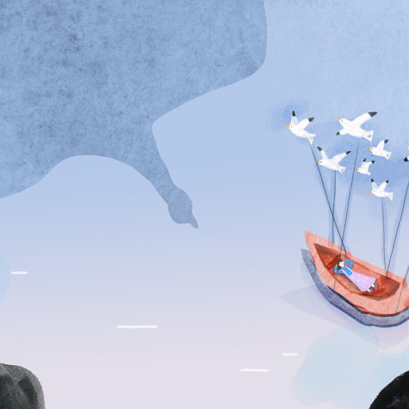 帆-吹過田野的風